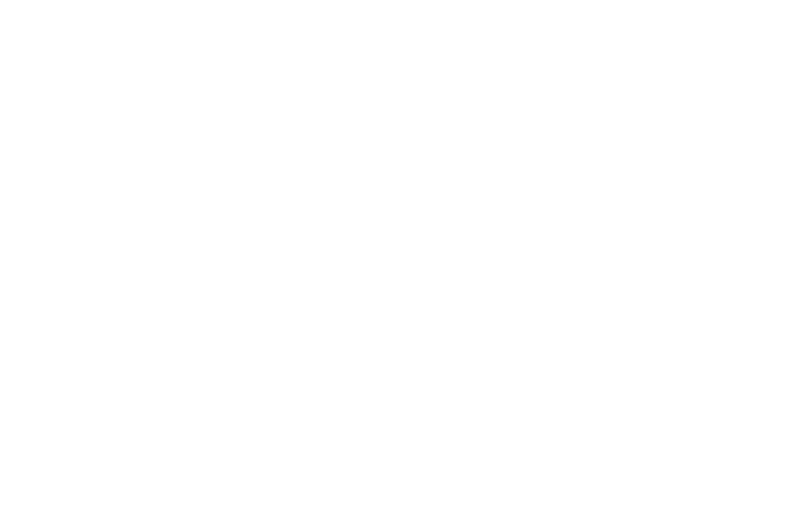 Renata L. Janes Natural Light Wedding Photographer