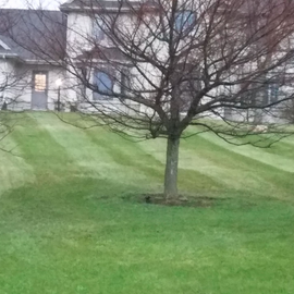 Landscaping – Rochester, MN – Advanced Lawn Services Landscaping – Rochester, MN – Advanced Lawn Services