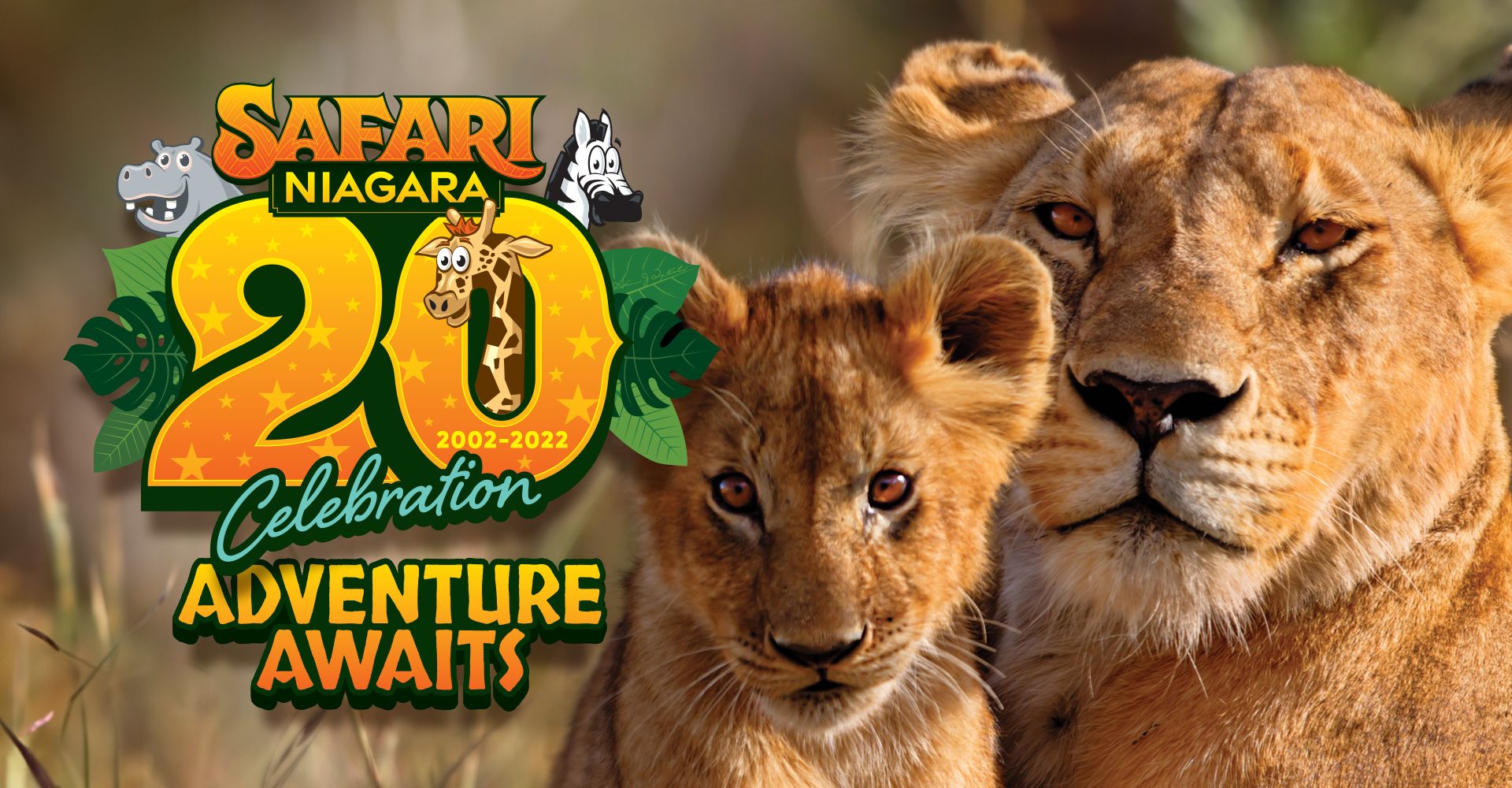 A poster for safari niagara with two lions and the words `` adventure awaits ''.