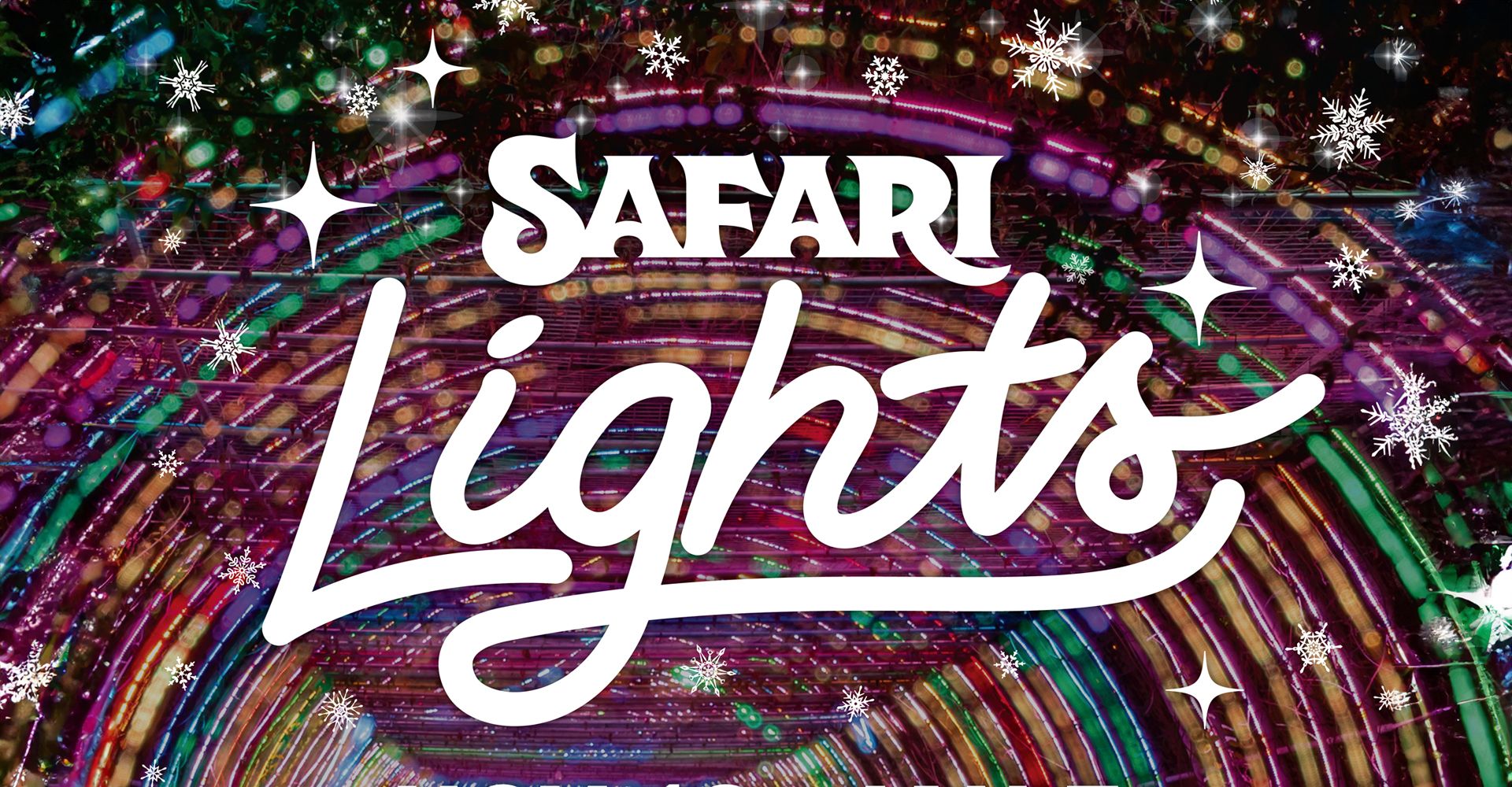 The safari lights logo is on a colorful background.