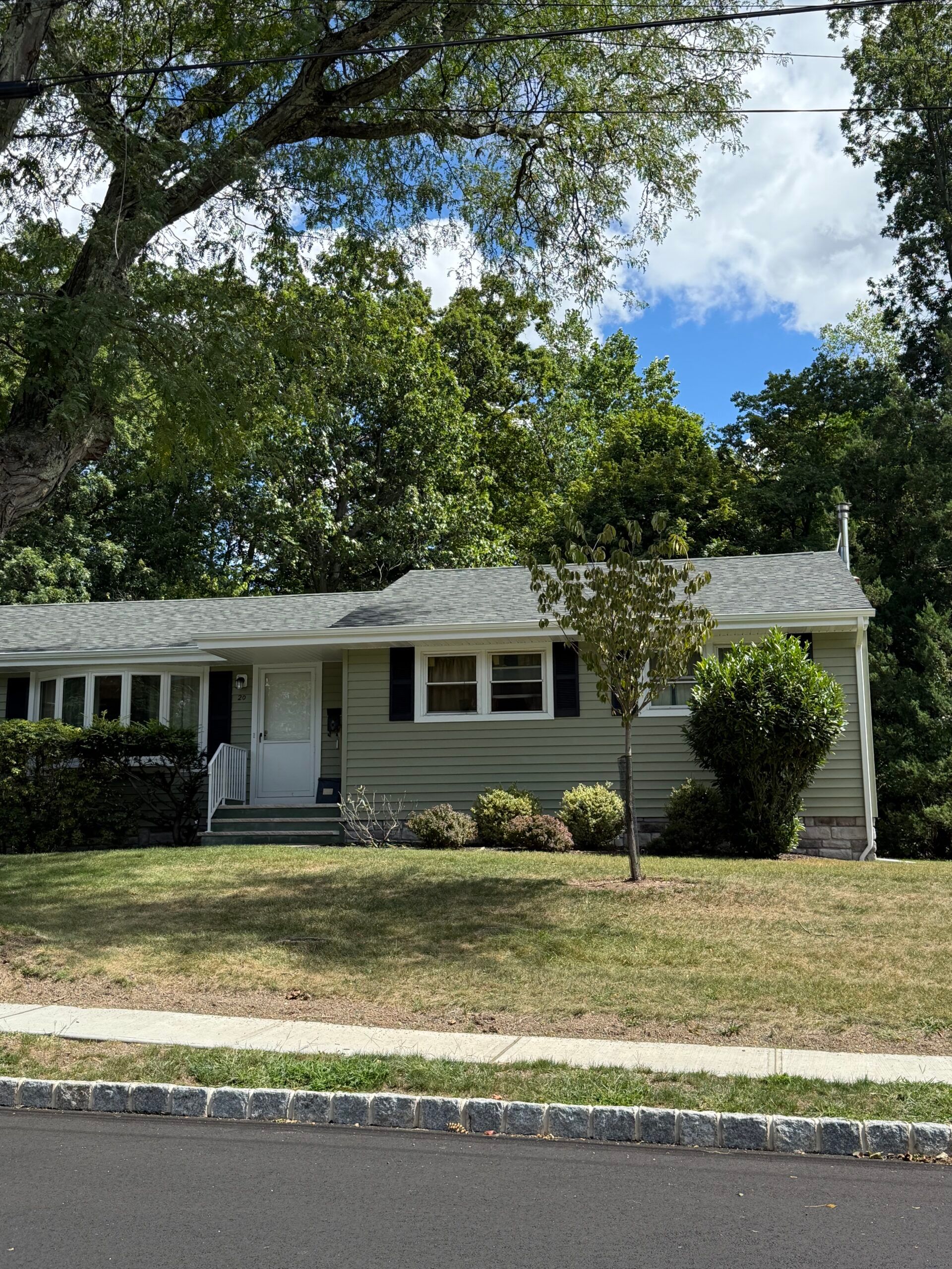 Green house with a gray roof, small tree, and shrubs in front. Blue sky and trees in the background.