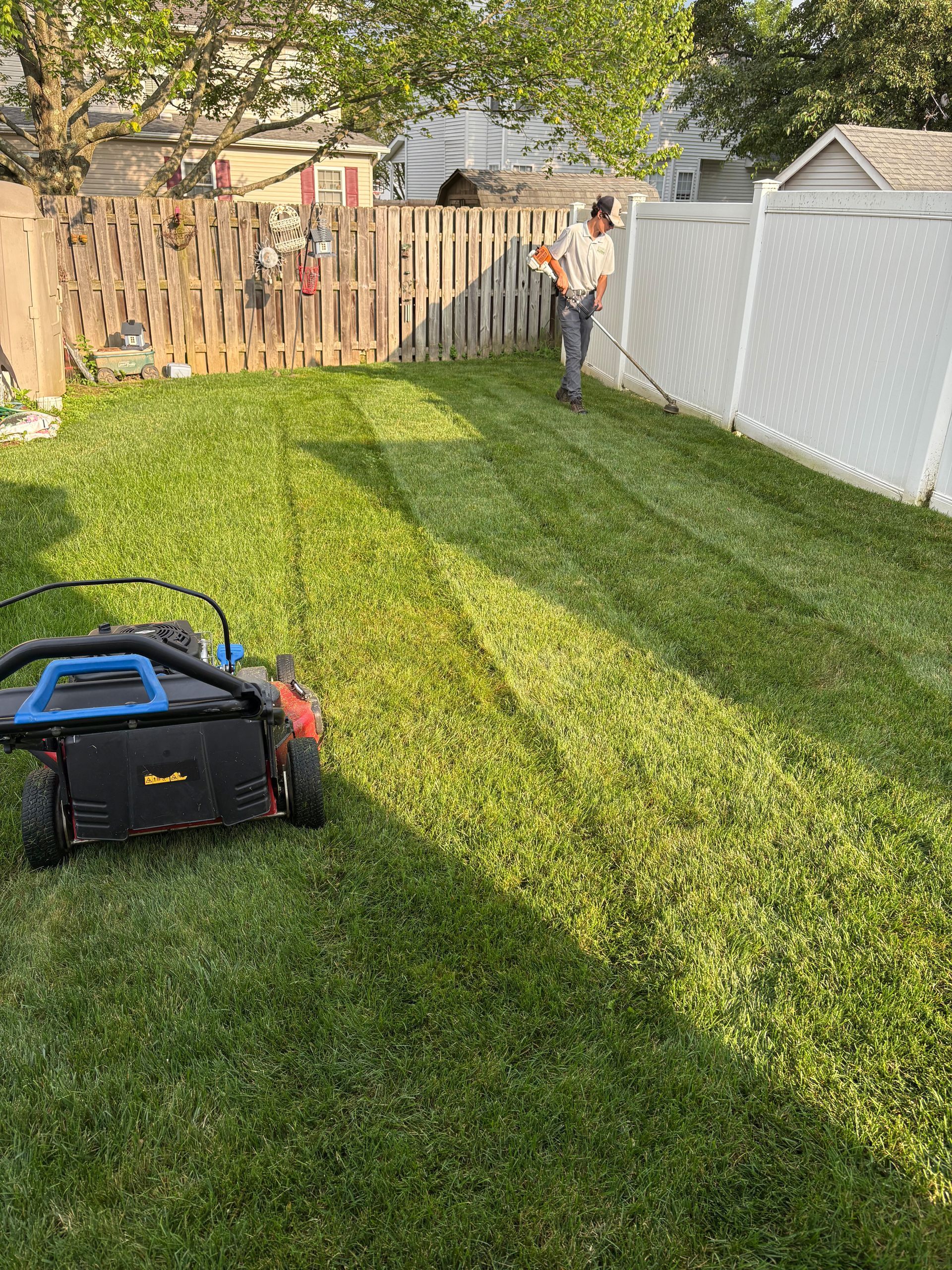 Person mowing a vibrant green lawn in a backyard with wooden and white fences.