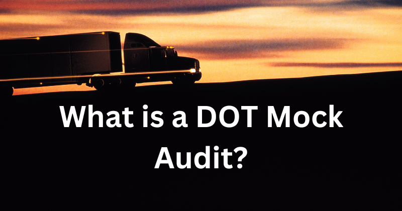 DOT Mock audit