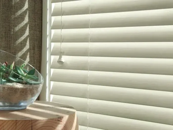 Mark Trump, Owner and Hunter Douglas Master Installer at Minneapolis Window Shade Company