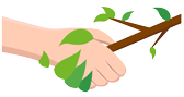 A hand is holding a tree branch with leaves on it.
