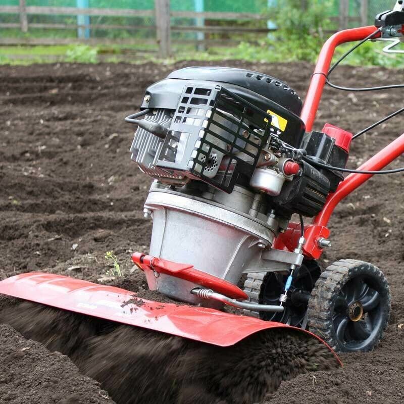 A Red Lawn Mower With a Black Engine on a White Background — Jacksons Mower Centre in Mackay, QLD