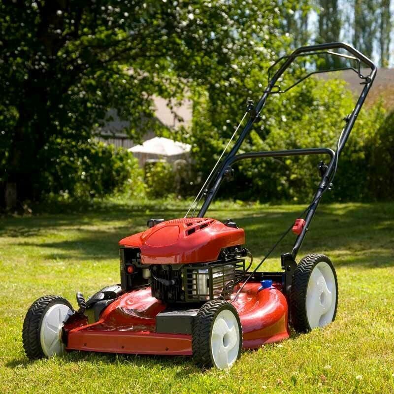 A Red and Black Lawn Mower is Sitting on a White Surface — Jacksons Mower Centre in Mackay, QLD