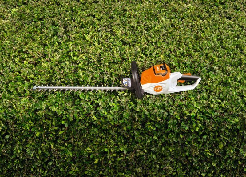 A Hedge Trimmer is Sitting on Top of a Lush Green Hedge — Jacksons Mower Centre in Mackay, QLD