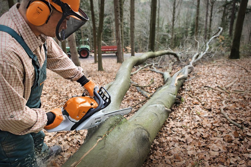 A Man is Cutting a Tree With a Chainsaw in the Woods — Jacksons Mower Centre in Mackay, QLD