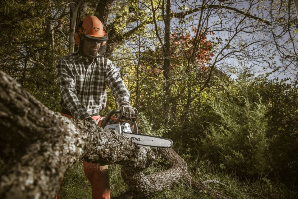 A Man is Cutting a Tree With a Chainsaw — Jacksons Mower Centre in Mackay, QLD