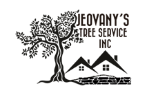 Jeovany's Tree Service