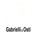 Lattonerie e Coperture edili Gabrielli San Giacomo delle Segnate - Logo