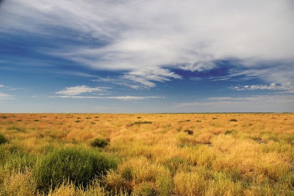 Outback Scenery Near Bourke — BJB Plumbing & Gasfitting in Bourke, NSW