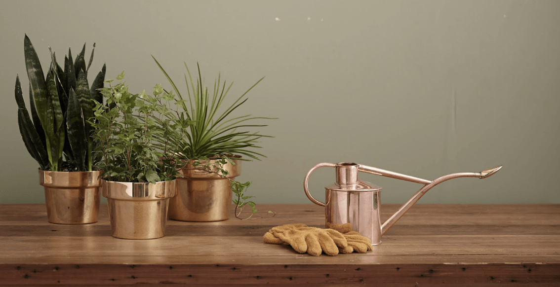 A wooden table topped with potted plants , a watering can , and gloves.