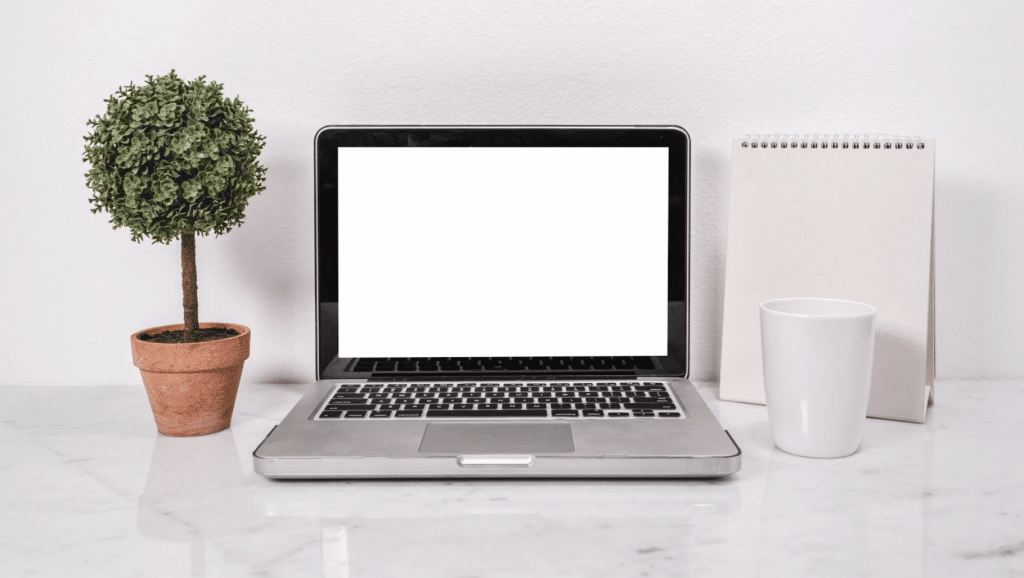 A laptop computer with a white screen is sitting on a desk next to a potted plant.