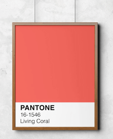 A picture of a pantone living coral color hanging on a wall