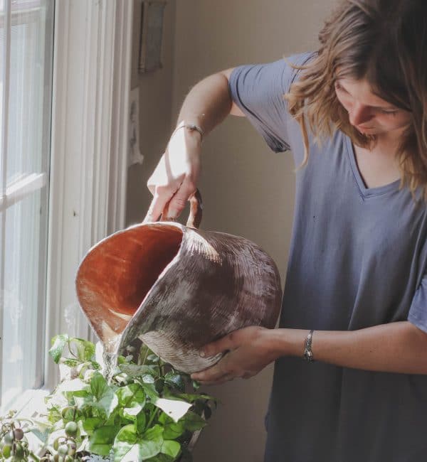 A woman is watering a potted plant in front of a window