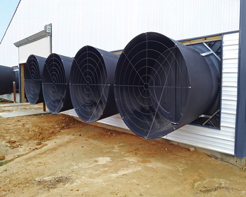 Ventilation Systems — Choudrant, LA — Poultry Farm Equipment Ventilation Systems — Choudrant, LA — Poultry Farm Equipment