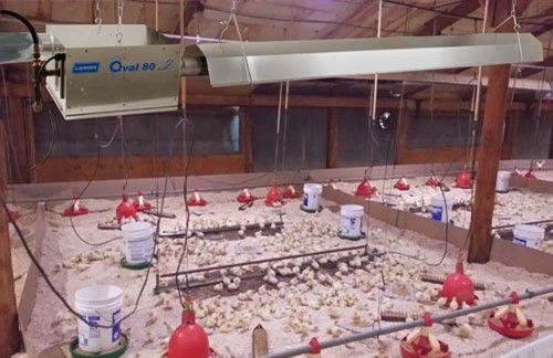 Space-Ray Tube Heaters — Choudrant, LA — Poultry Farm Equipment Space-Ray Tube Heaters — Choudrant, LA — Poultry Farm Equipment