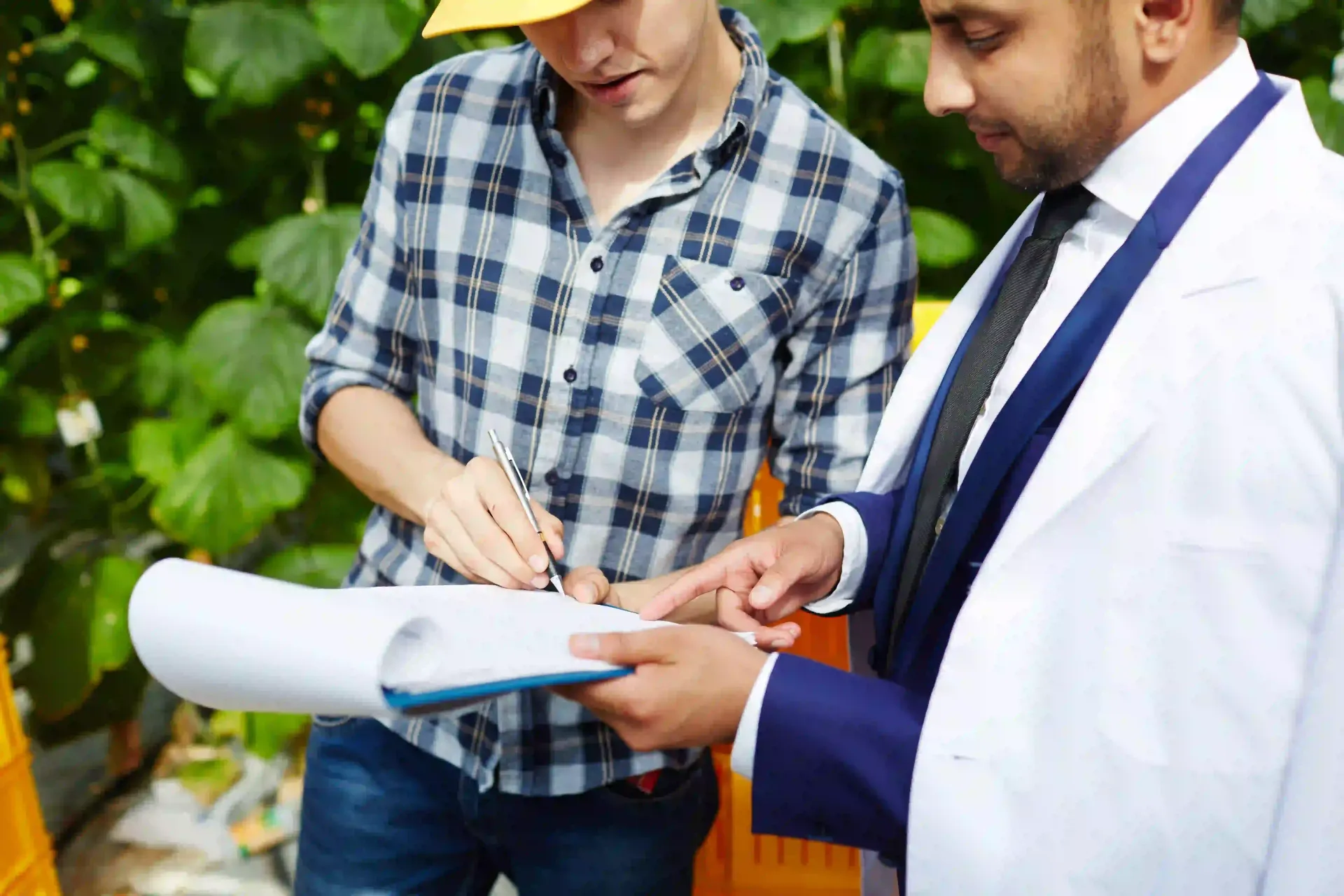 documentation-of-mitigation-services-merrillville