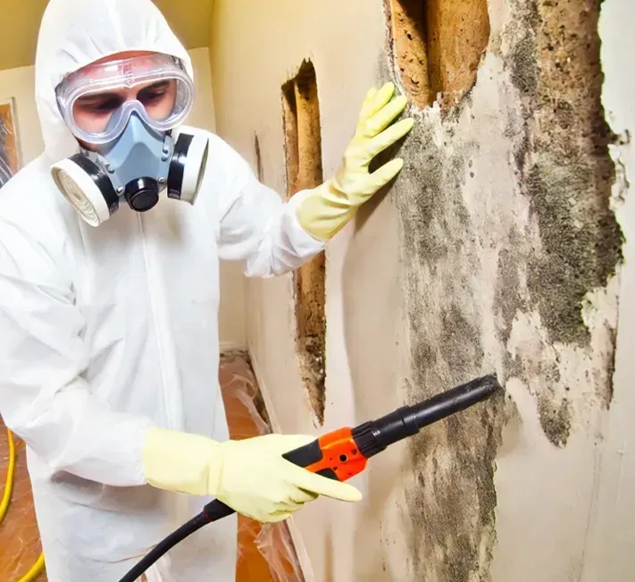 A person in a protective suit, mask, and gloves uses a tool to clean mold from a wall in a room.