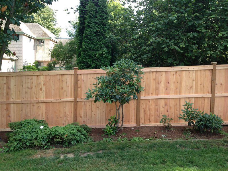 Wooden fence with small trees and bushes in front, green grass, and a house in the background.