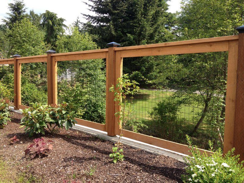 Wooden fence with wire mesh in a garden, with plants and trees in the background.