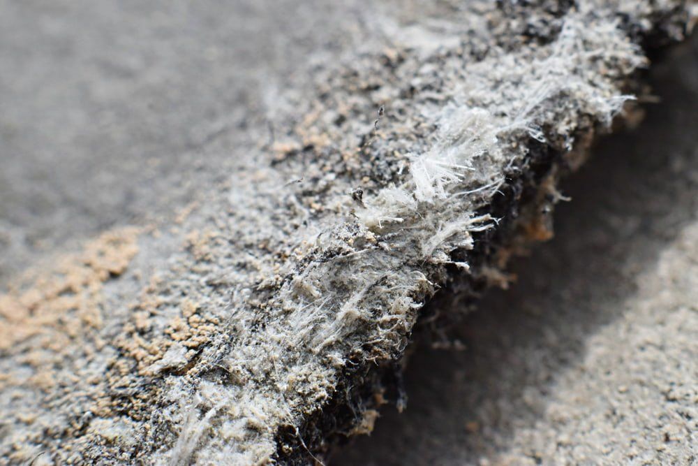 Asbestos Fibers — Asbestos Removal in Currajong, QLD