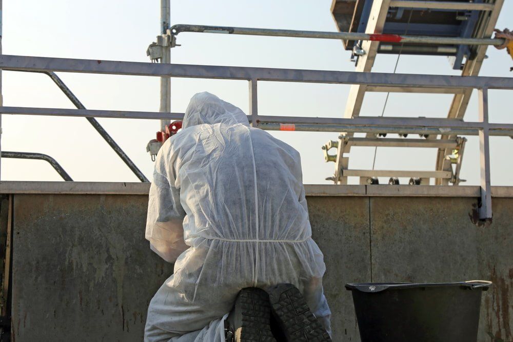 Professional Asbestos Abatement — Asbestos Removal in Currajong, QLD