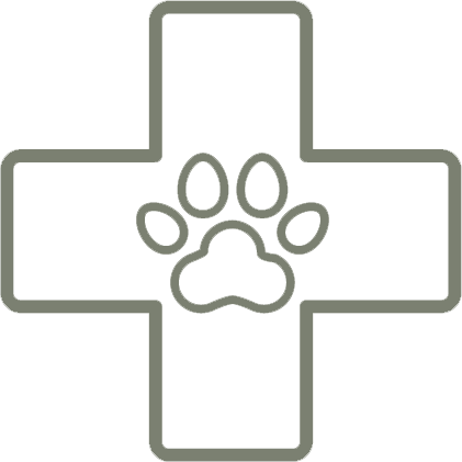 Gray medical cross with a paw print in the center, representing veterinary care or pet first aid