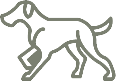 Outline of a walking dog icon in gray line art