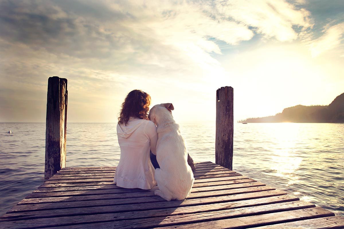 A person and dog sit on a wooden dock by a calm lake at sunset, facing the bright horizon with a dog between them.
