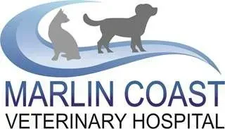 Marlin Coast Veterinary Hospital: General Wellbeing & Surgical Vet in Trinity Beach Marlin Coast Veterinary Hospital: General Wellbeing & Surgical Vet in Trinity Beach