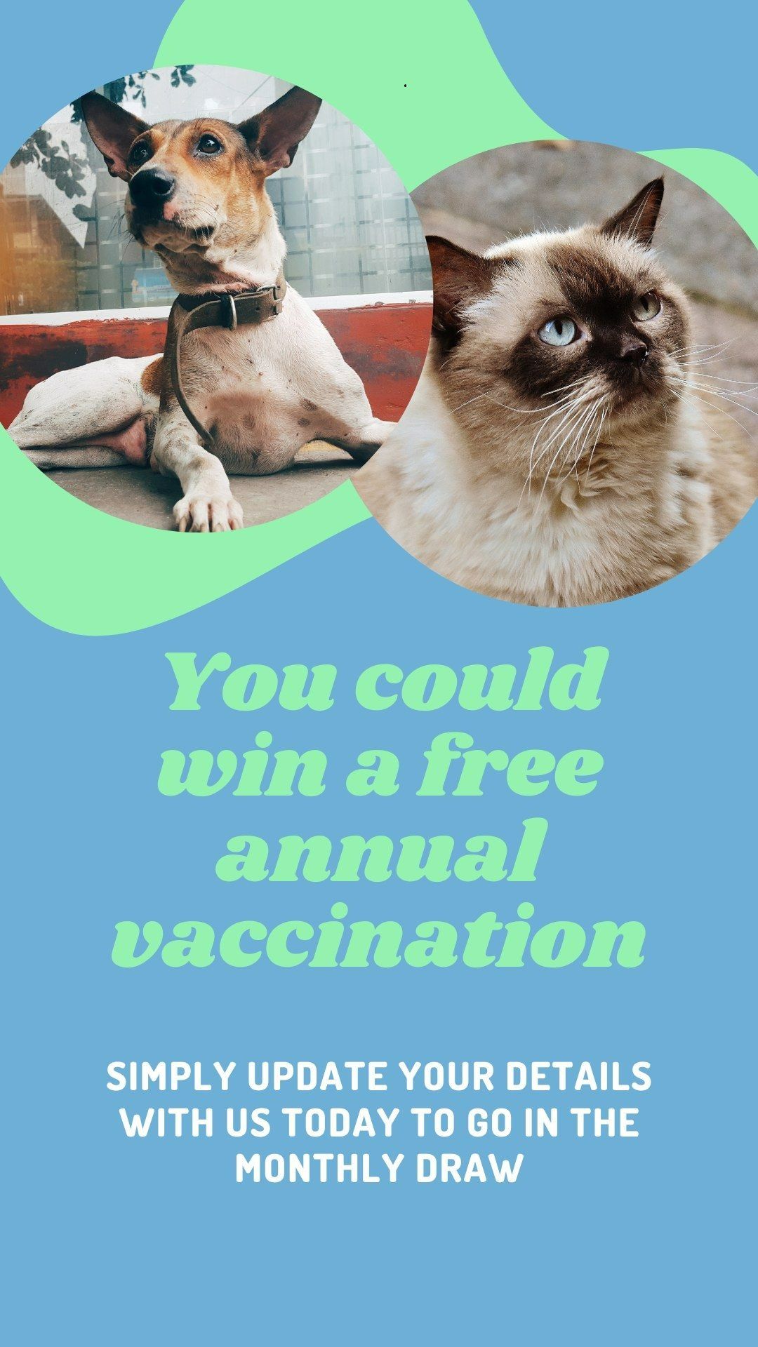 Advertisement for Pet Vaccinations — Marlin Coast Veterinary Hospital in Trinity Beach, QLD