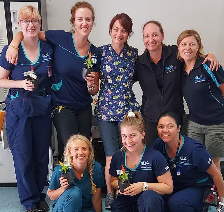 Group of Healthcare Workers in Scrubs — Marlin Coast Veterinary Hospital in Trinity Beach, QLD