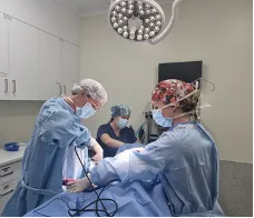 Medical Team in an Operating Room Performing Surgery — Marlin Coast Veterinary Hospital in Trinity Beach, QLD