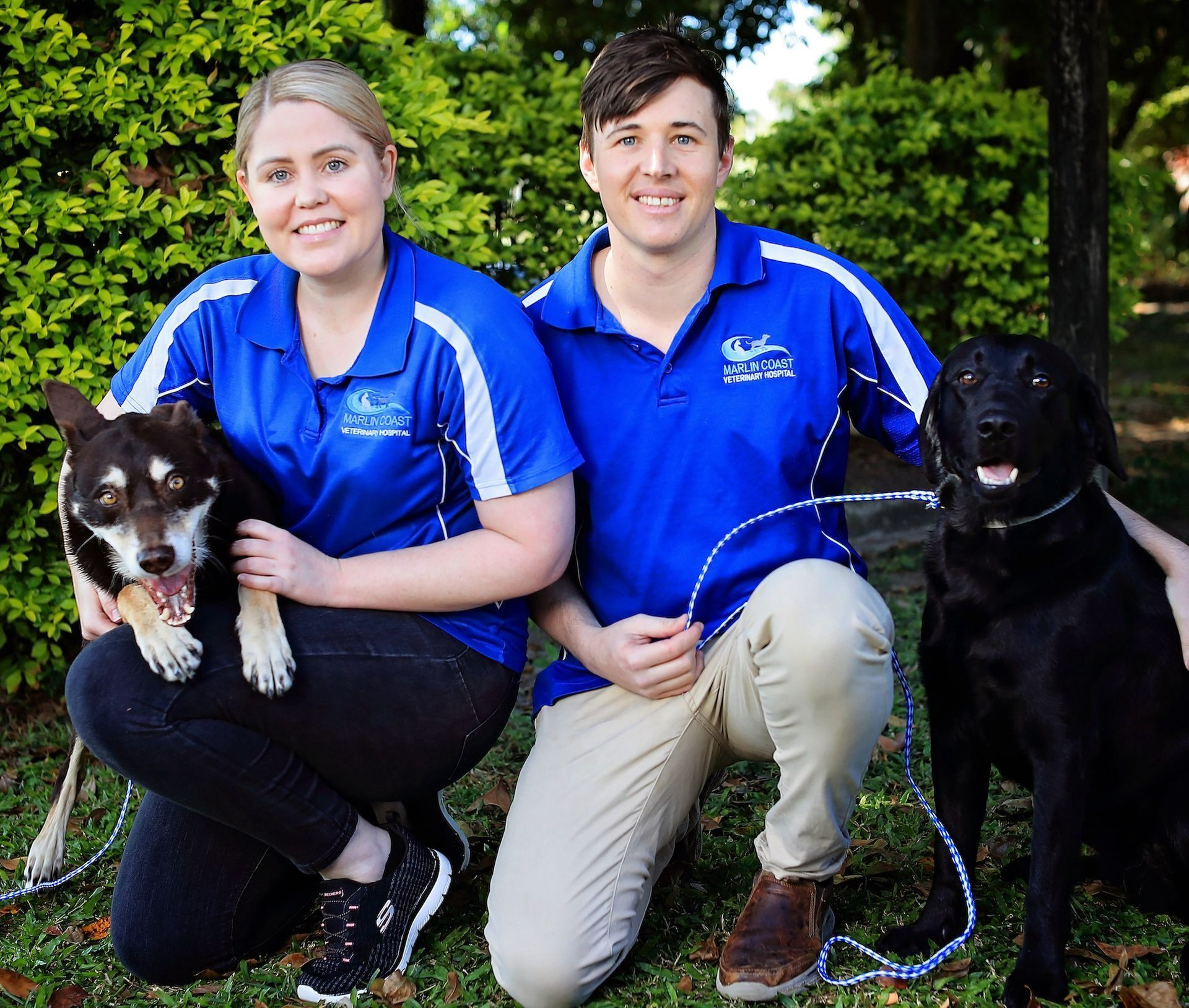 People with Dogs — Marlin Coast Veterinary Hospital in Trinity Beach, QLD
