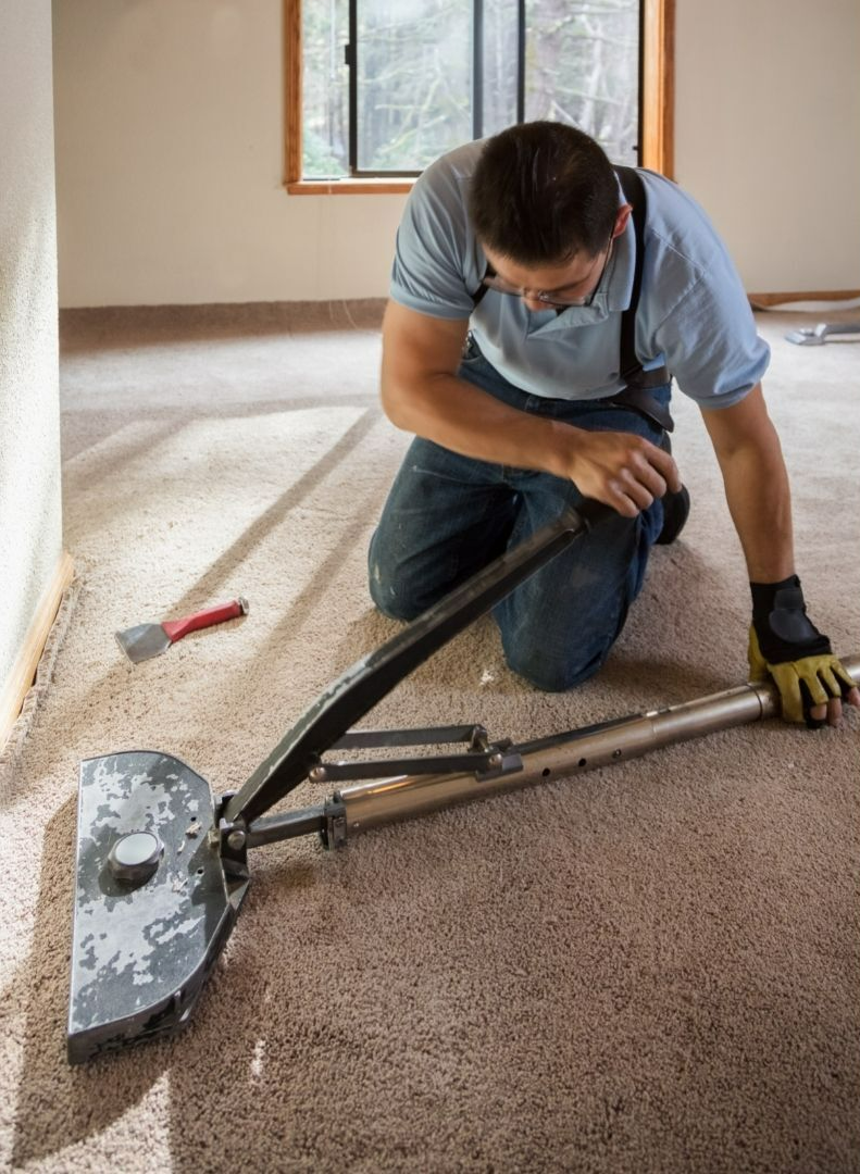 Gary Smith Carpet & Upholstery Cleaning Top Rated Carpet Cleaner