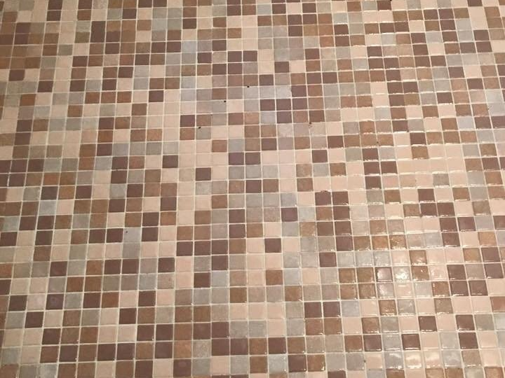 Tile Cleaning | Gardendale, AL | Ray's Carpet Care