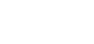 20/20 Walker Consulting