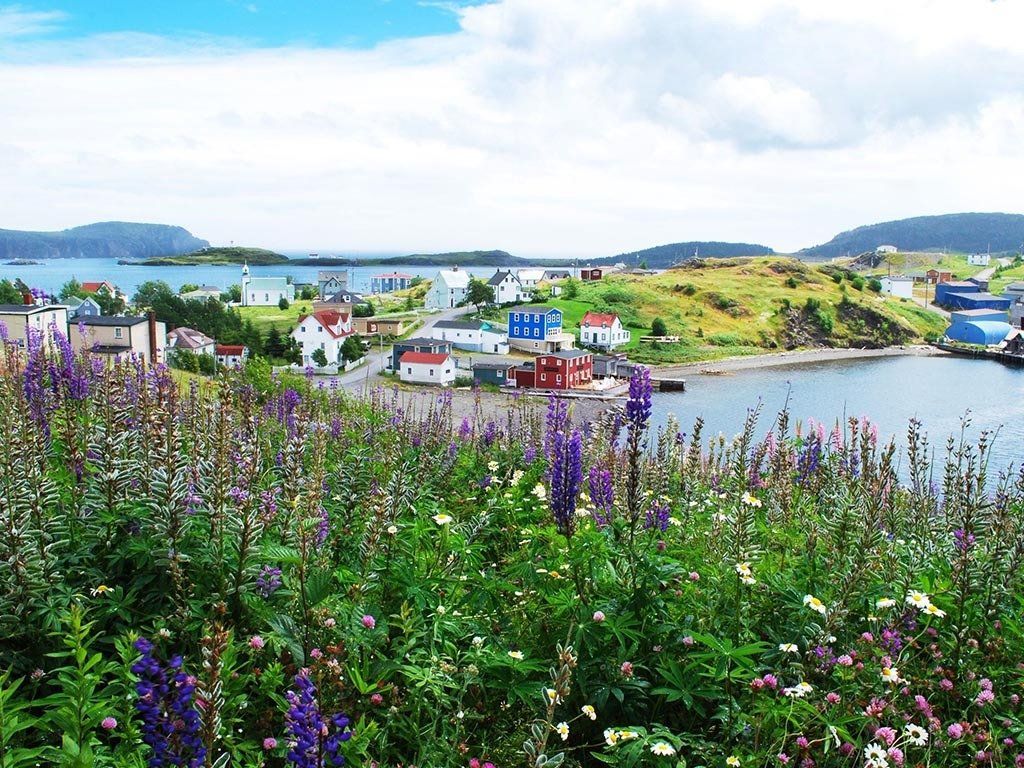 Coastal town with colorful buildings, lush flowers in foreground, ocean, and hills under a cloudy sky.