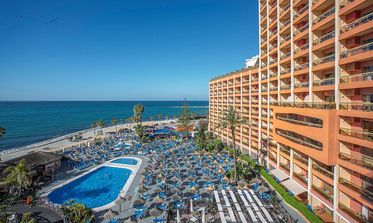 Beachfront resort with blue pool, rows of lounge chairs, and a large hotel overlooking the sea