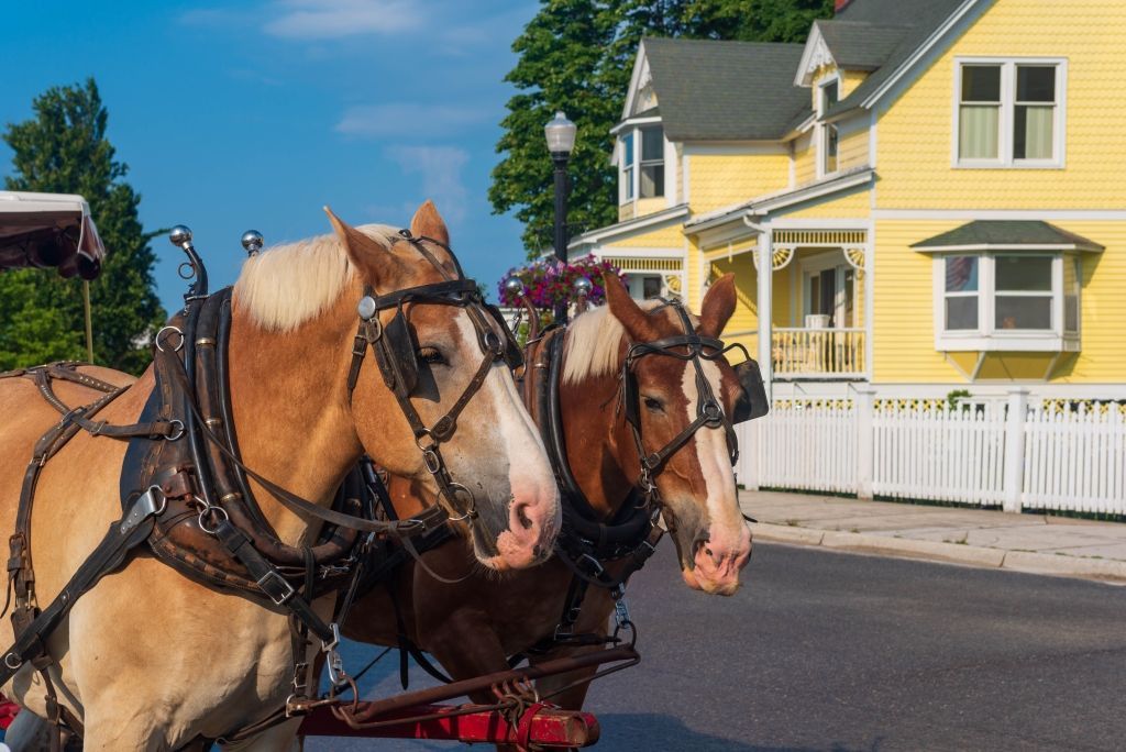 Two horses pulling a carriage on a street in front of a yellow house with a white picket fence.