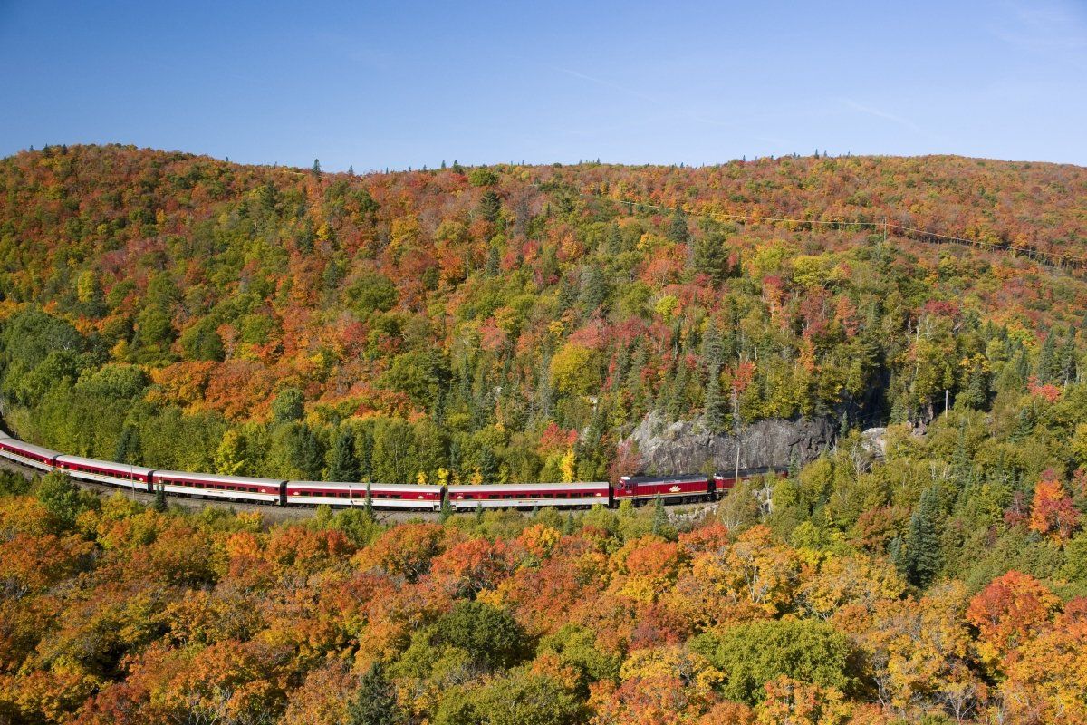 Train winds through vibrant autumn forest.