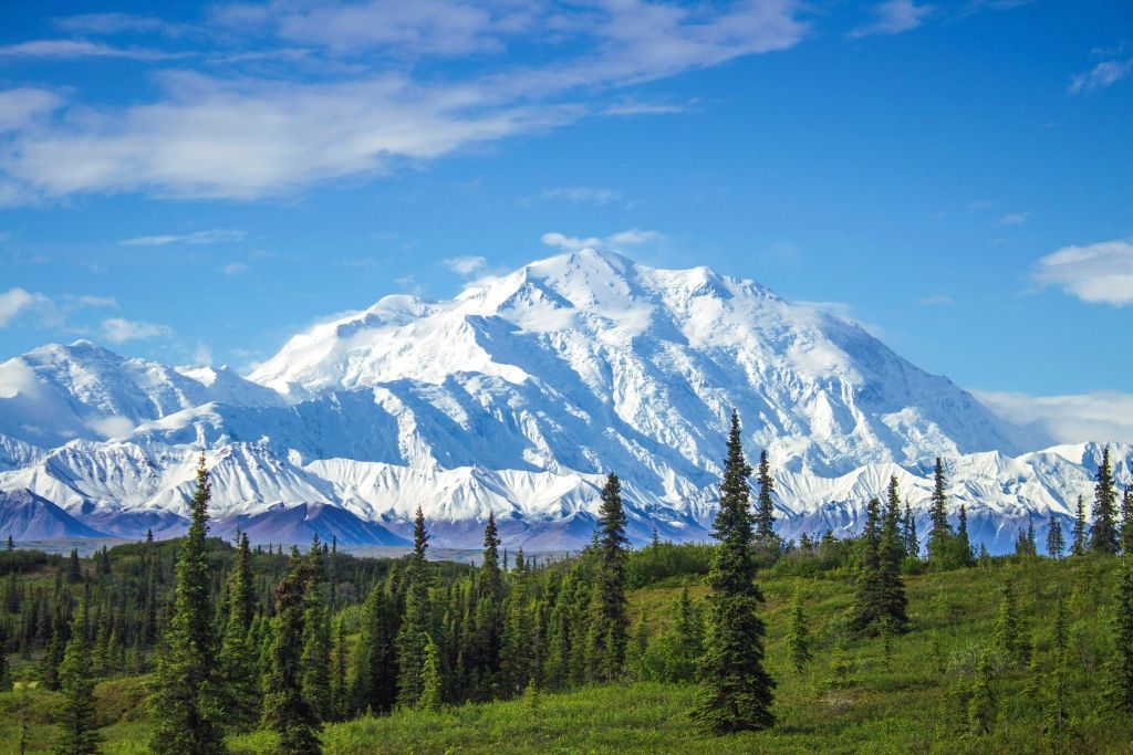 Snow-capped mountain range rises above a green forest under a bright blue sky.