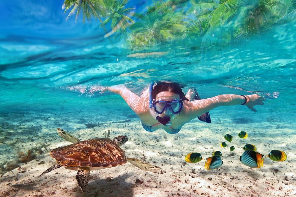 Woman snorkeling with a sea turtle and colorful fish in turquoise water.