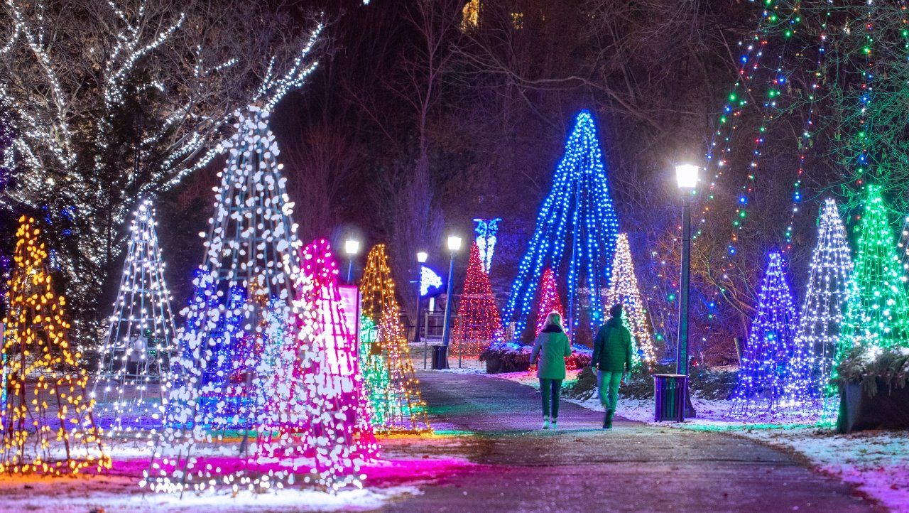 Path through park decorated with colorful Christmas lights; two people walk.