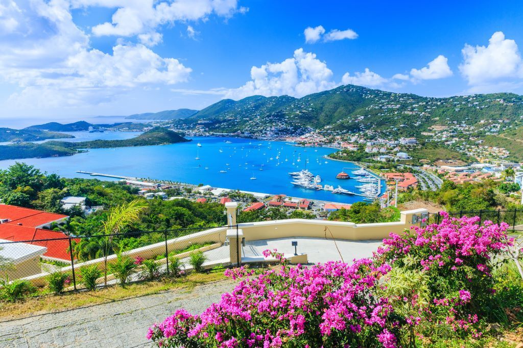 Scenic view of a blue bay surrounded by green hills, with boats and pink flowers in the foreground under a blue sky.