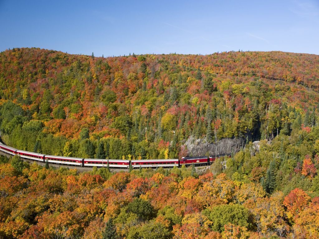 Train winds through fall foliage on a hillside, showcasing autumn colors: red, orange, and green.