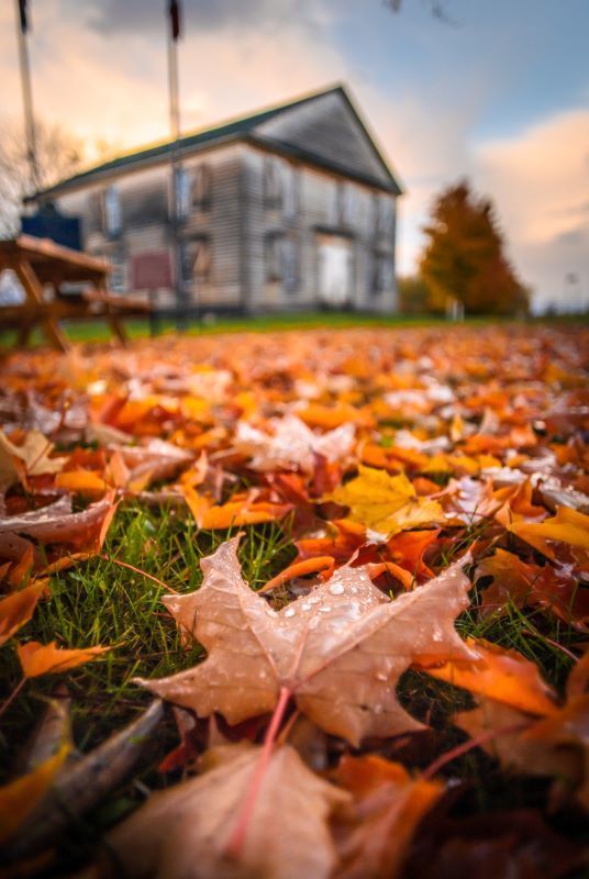 Autumn leaves blanket the ground in front of a weathered building.